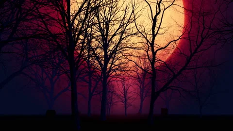 Halloween Dead Tree and Big Moon Loop Stock Footage 212034856