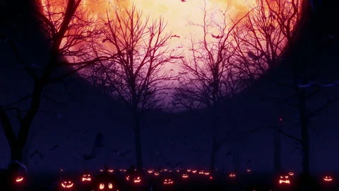 Halloween Dead Tree Loop Stock Footage 285837676