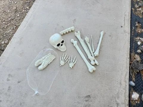 Halloween Decor for Fall, Plastic Skeleton Bones on Concrete Sidewalk Stock Photos