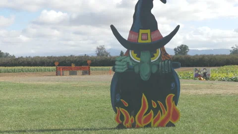 Halloween Decor at a Pumpkin Patch Stock Footage 208751432