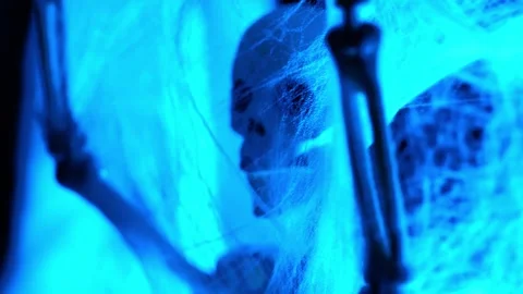 Halloween decor. Skeleton silhouette in thin threads of web Stock Footage 318550957