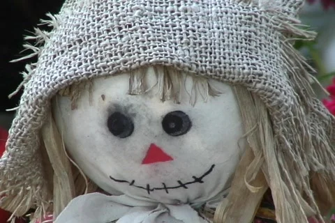 Halloween decoration  動画素材 522042