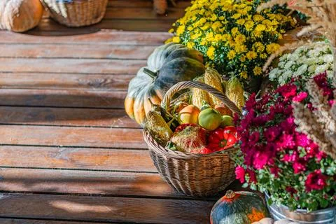 Halloween decoration with rustic outdoor scene, wooden table filled with pump Stock Photos