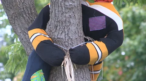 Halloween decorations Stock Footage