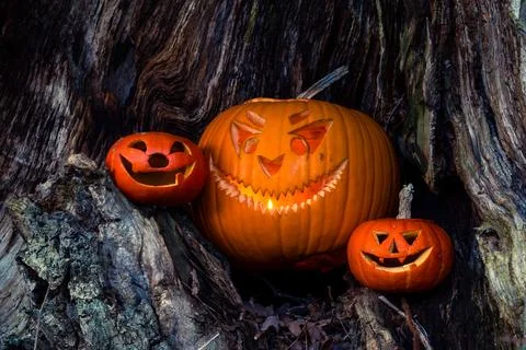 Halloween design with pumpkins. Stock Photos