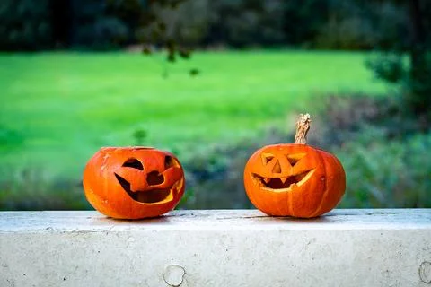 Halloween design with pumpkins. Stock Photos
