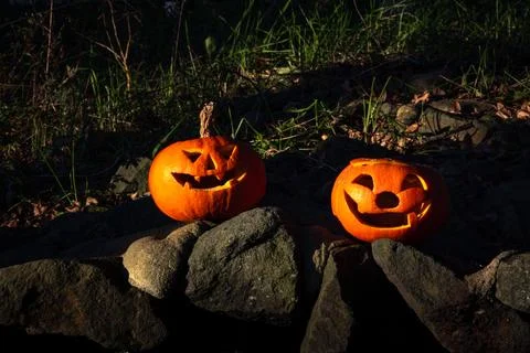 Halloween design with pumpkins. Stock Photos
