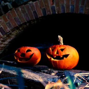 Halloween design with pumpkins. Stock Photos
