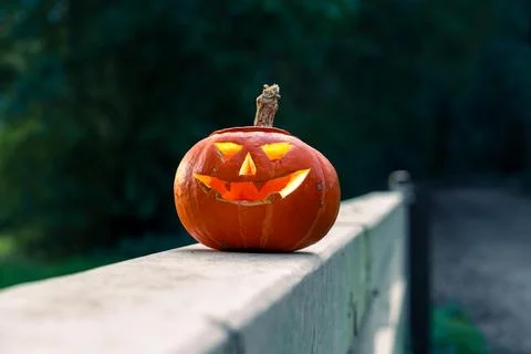 Halloween design with pumpkins. Stock Photos