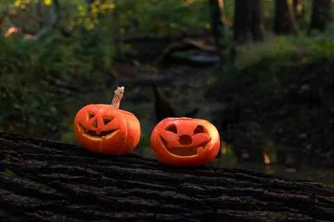 Halloween design with pumpkins. Stock Photos
