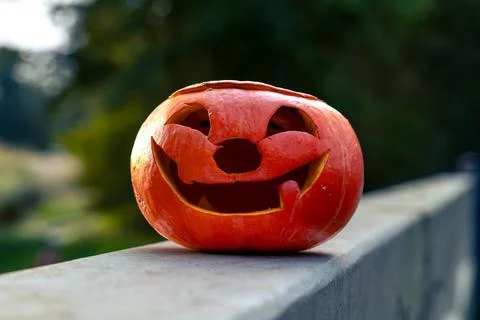 Halloween design with pumpkins. Stock Photos