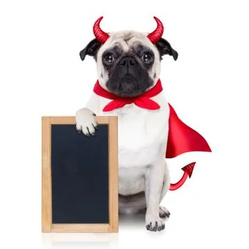 Halloween devil dog Stock-Fotos