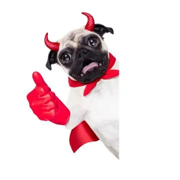 Halloween devil dog Foto stock