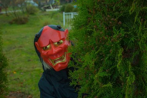 Halloween devil mask for a man. Stock Photos