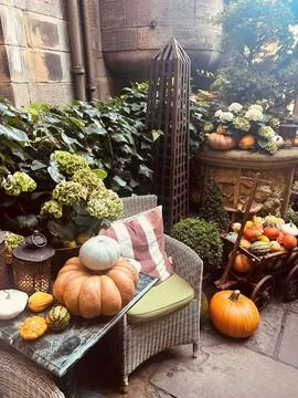 Halloween display with pumpkins on table Foto stock