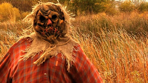 Halloween Dummy MS Vidéo 33517643