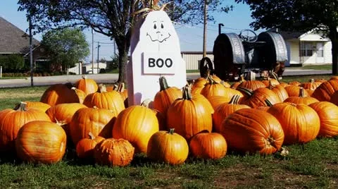 Halloween Fall Festival Pumpkin Patch In Tecumseh OK Video stock 12343288