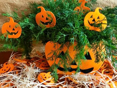 Halloween Festive Decor Stock Photos