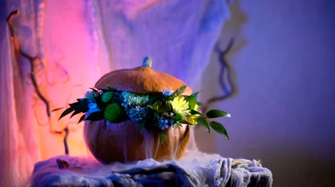 Halloween, filled with holiday traditions, symbols and details. Flower Stock Footage