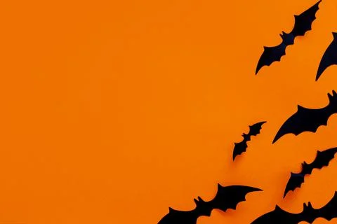 Halloween flat lay composition of black paper bats and pumpkins on orange Stock Photos