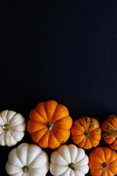 Halloween flat lay composition of black paper bats and pumpkins on orange Stock Photos