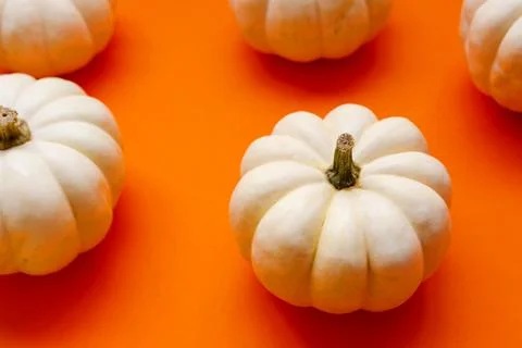 Halloween flat lay composition of black paper bats and pumpkins on orange Foto stock