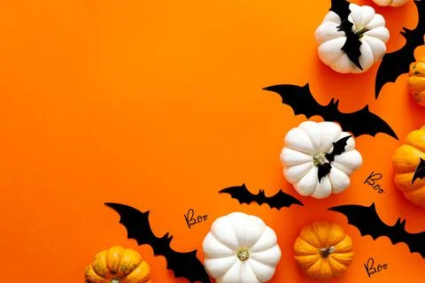 Halloween flat lay composition of black paper bats and pumpkins on orange Stock Photos