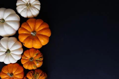 Halloween flat lay composition of black paper bats and pumpkins on orange Stock Photos