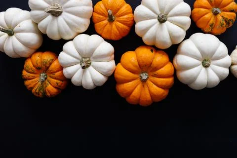 Halloween flat lay composition of black paper bats and pumpkins on orange Stock Photos
