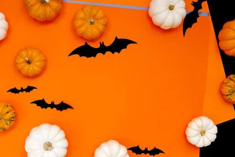 Halloween flat lay composition of black paper bats and pumpkins on orange Stock Photos