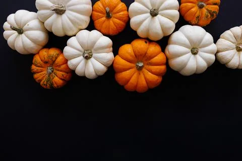 Halloween flat lay composition of black paper bats and pumpkins on orange Stock Photos