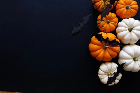 Halloween flat lay composition of black paper bats and pumpkins on orange Stock Photos