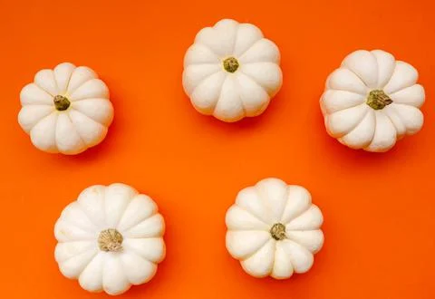 Halloween flat lay composition of black paper bats and pumpkins on orange Stock Photos