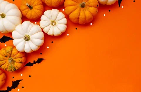 Halloween flat lay composition of black paper bats and pumpkins on orange Stock Photos