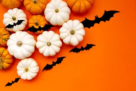 Halloween flat lay composition of black paper bats and pumpkins on orange Stock Photos