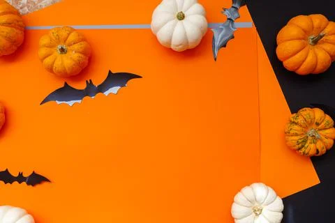 Halloween flat lay composition of black paper bats and pumpkins on orange Stock Photos