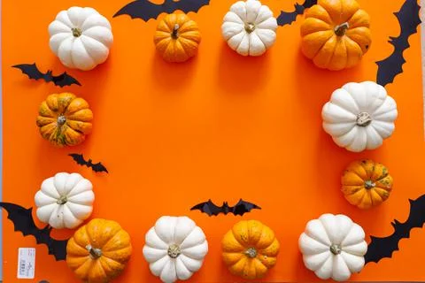 Halloween flat lay composition of black paper bats and pumpkins on orange Stock Photos