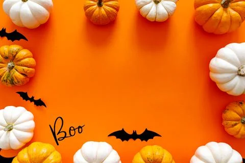 Halloween flat lay composition of black paper bats and pumpkins on orange Stock Photos