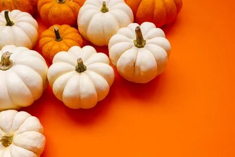 Halloween flat lay composition of black paper bats and pumpkins on orange Stock Photos