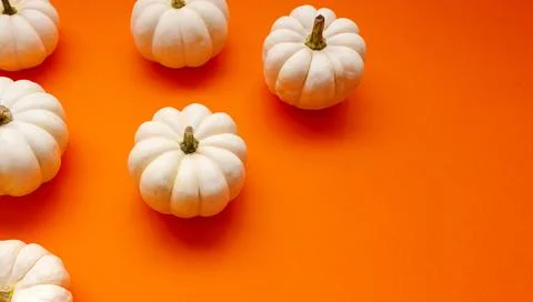 Halloween flat lay composition of black paper bats and pumpkins on orange Stock Photos