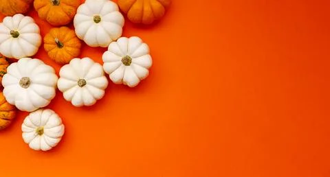 Halloween flat lay composition of black paper bats and pumpkins on orange Stock Photos