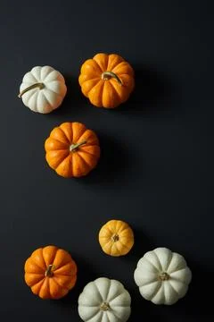 Halloween flat lay composition with pumpkins on black background. Blank space Stock Photos