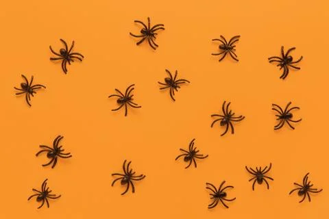 Halloween flat lay. Pattern from black spiders on orange background. Minimal Stock Photos