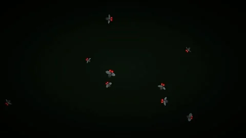 Halloween Flies Background Insects Animation Loop Vídeo Stock 344419138