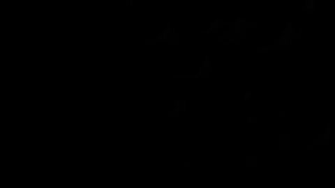 Halloween  Video stock 89871847