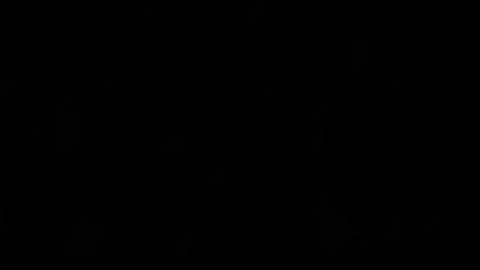 Halloween Stock Footage 89871935
