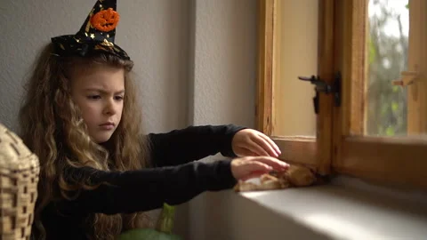 Halloween Stock Footage 140912944