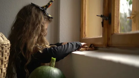 Halloween Stock Footage 140915671