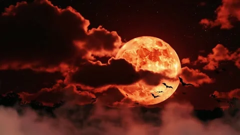 Halloween Full Moon with Dark Clouds and Flying Bats Stock-Footage 345678929