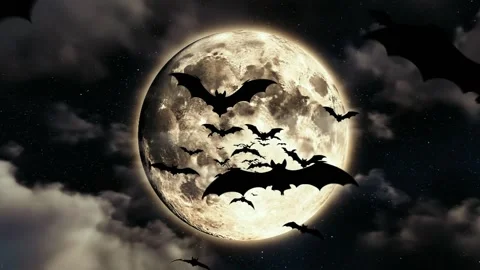 Halloween Full Moon with Flying Bats – Spooky Night Motion Background Stock Footage 345678938
